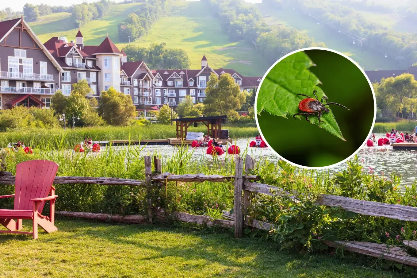 A scenic resort with red chairs, a pond, and lush hills. Inset shows a close-up of a tick on a green leaf, highlighting tick presence in the area.