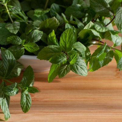 Fresh mint sprigs in a white bowl sitting on a wooden surface, botanicals are commonly used in functional medicine
