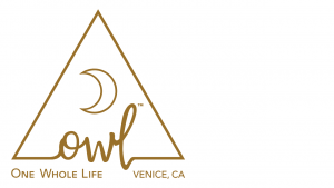 A gold triangle with a crescent moon above the stylized word owl, and the words One Whole Life venice, ca below, all on a white background.