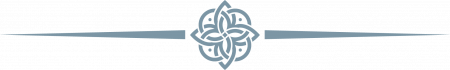 A decorative blue divider featuring a symmetrical floral motif in the center, with two long, tapered lines extending outward on each side.