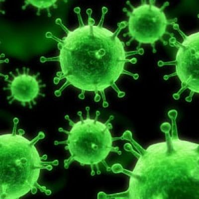 Green virus-like particles with spherical shapes and spike-like projections are shown against a dark background, representing microscopic pathogens or germs.