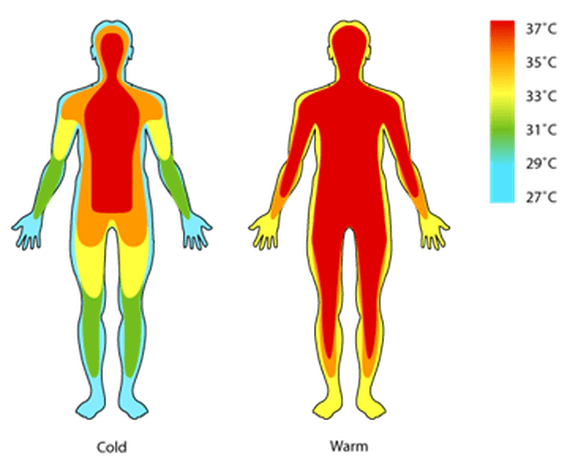 Two human body outlines display temperature zones: the left figure shows colder areas in blue and green on extremities and warmer red/yellow areas on the torso; the right figure is mostly red, indicating uniform warmth. A temperature scale is included.