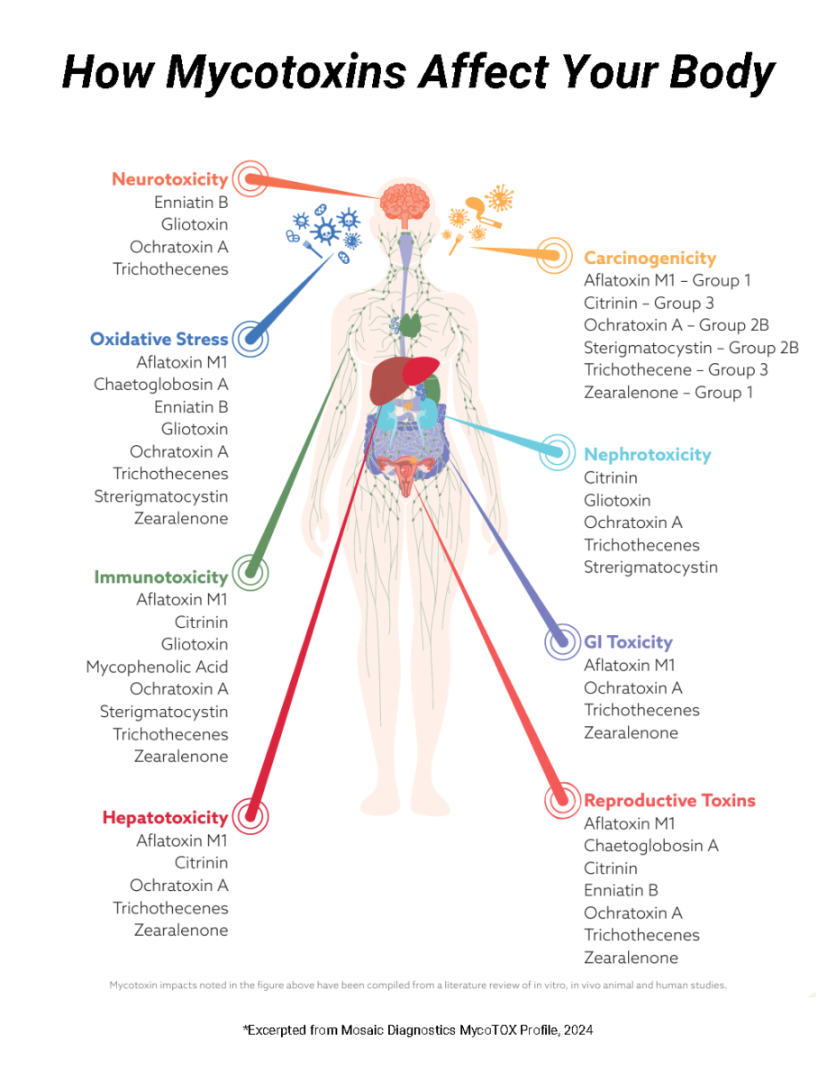 How Mycotoxins affect different areas of the human body