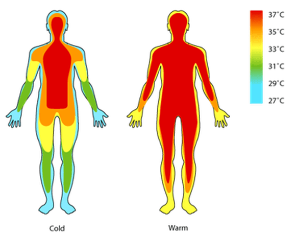Two human body outlines display temperature zones: the left figure shows colder areas in blue and green on extremities and warmer red/yellow areas on the torso; the right figure is mostly red, indicating uniform warmth. A temperature scale is included.
