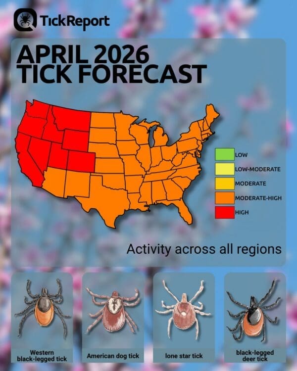Map of the US with states color-coded for April 2026 tick risk, mostly in orange and red, indicating moderate to high risk. Images of four tick species shown below: Western black-legged, American dog, Lone star, and black-legged deer tick.