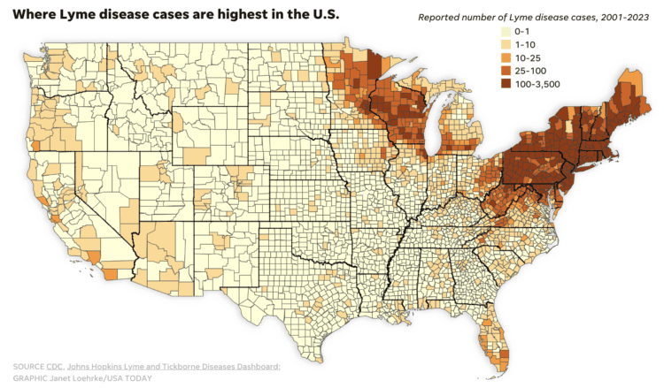 Home 31 Map of the U.S. showing reported Lyme disease cases (2001–2023) by county. Highest cases are in the Northeast and upper Midwest, shaded dark brown, while most of the West and South have low or no cases, shown in yellow.