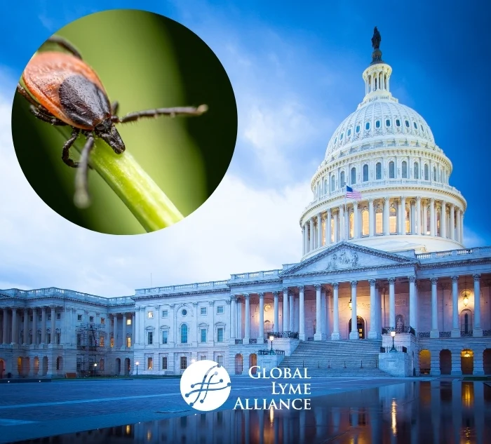 A close-up of a tick on a green stem is inset over a photo of the U.S. Capitol building at dusk, with the Global Lyme Alliance logo at the bottom.