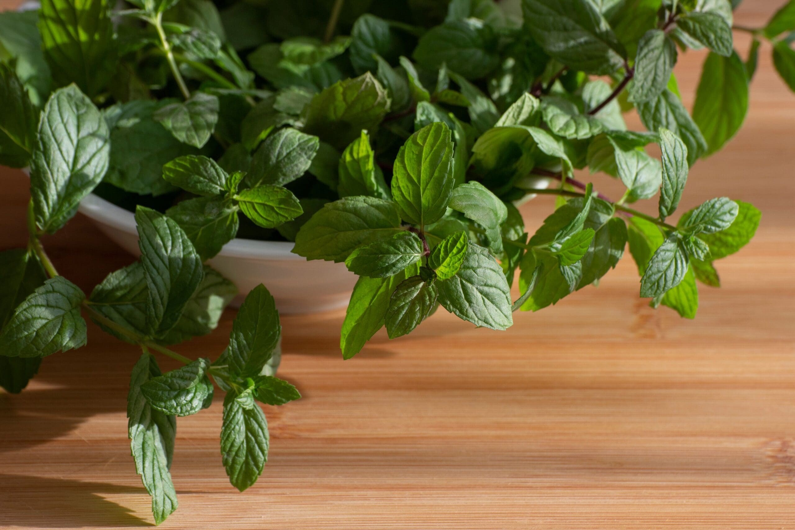 Fresh mint sprigs in a white bowl sitting on a wooden surface, botanicals are commonly used in functional medicine